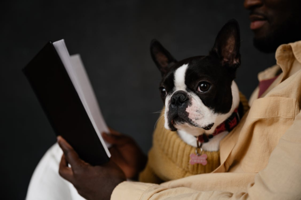 A person reading a book with a puppy